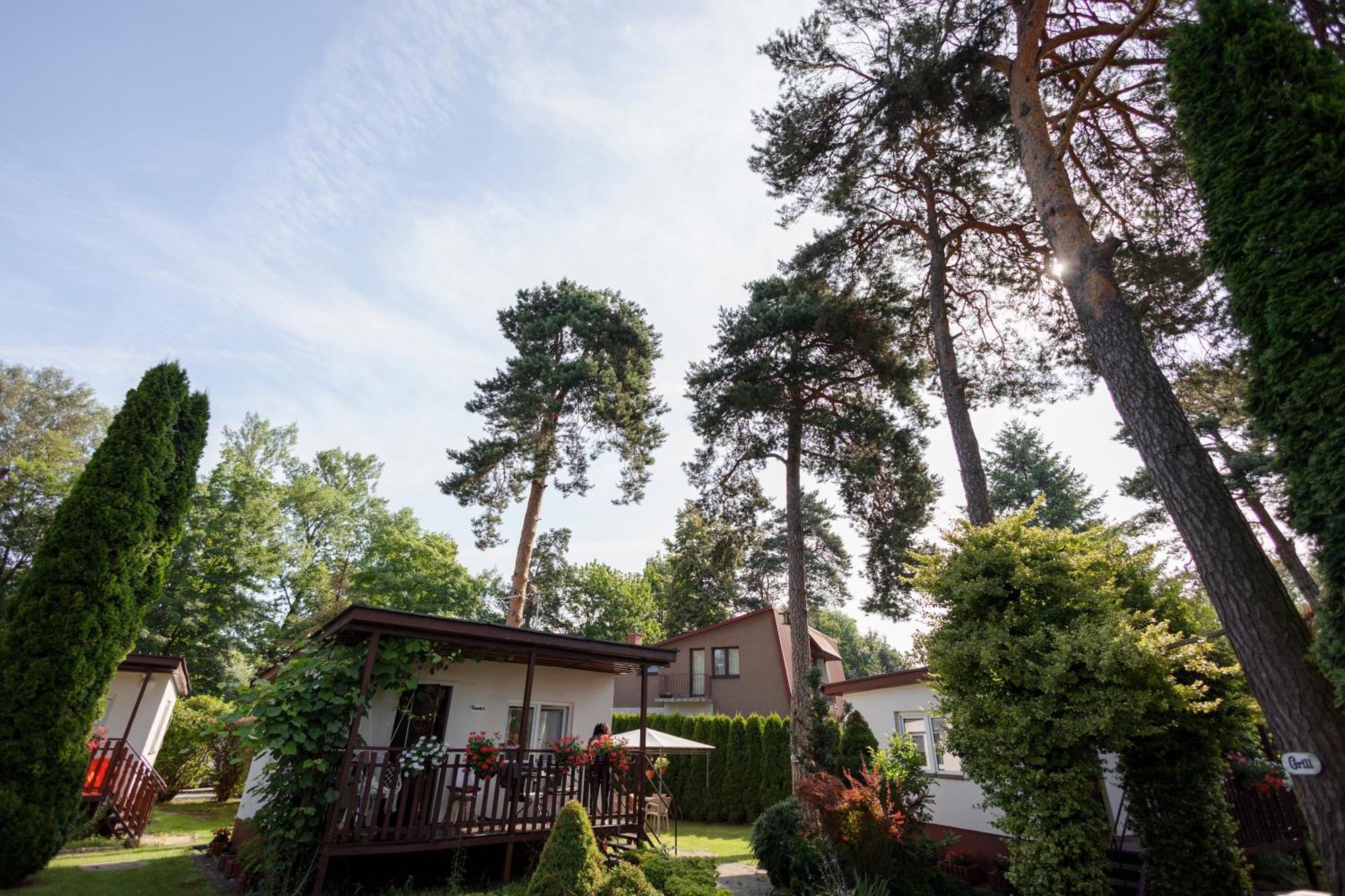 Villa Rabapark- Domki Pod Krakowem Gdów Exterior foto